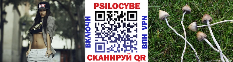Галлюциногенные грибы Cubensis Лермонтов